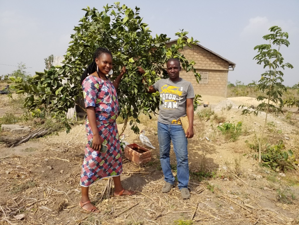 Mission d'elaboration des plans d’affaires au profit de trente-trois (33) producteurs et transformateurs d’oranges dans le Pôle  de Developpement Agricole 5